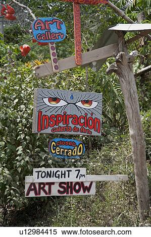 Stock Photography - Inspiracion Galeria de Arts Art Gallery Show signage, with orange eyes hanging on a tree trunk with a jungle background. Fotosearch