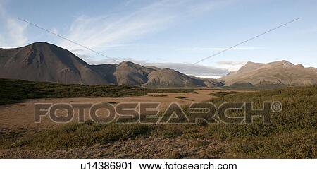Landscape, arid plain, bushes, distant mountains View Large Photo Image Stock Image - Landscape, arid plain, bushes, distant mountains. Fotosearch