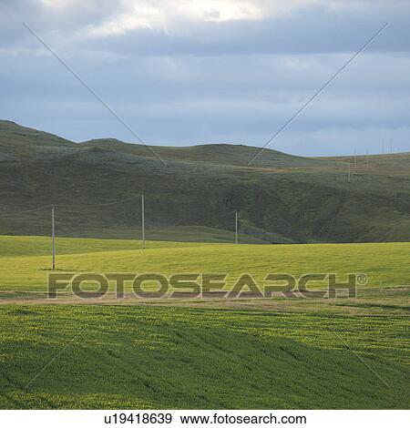 Landscape, pasture and mountain under storm cloud sky View Large Photo Image Stock Photo - Landscape, pasture and mountain under storm cloud sky. Fotosearch