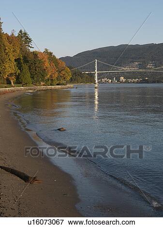 Stock Photo - Lions Gate Bridge in Vancouver, British Columbia, Canada. Fotosearch