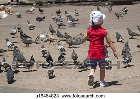 Little girl in red shirt and white hat surrounded by pigeons on a plaza in San Jose, Costa Rica View Large Photo Image Stock Image - Little girl in red shirt and white hat surrounded by pigeons on a plaza in San Jose, Costa Rica. Fotosearch