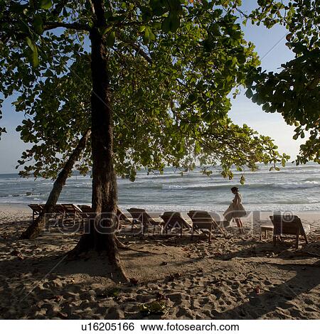 Stock Photograph - Lounge chairs on the beach in Costa Rica. Fotosearch