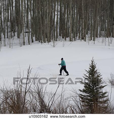 Man cross country skiing in Vail, Colorado 2010 View Large Photo Image Stock Image - Man cross country skiing in Vail, Colorado 2010. Fotosearch
