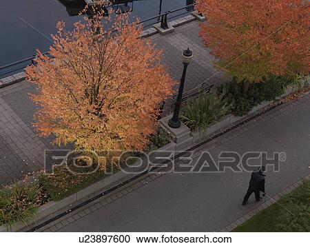 Man walking down street in Vancouver, British Columbia View Large Photo Image Stock Image - Man walking down street in Vancouver, British Columbia. Fotosearch