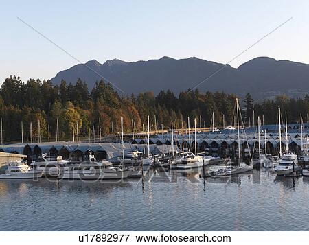 Stock Photo - Marina in Vancouver, British Columbia, Canada. Fotosearch