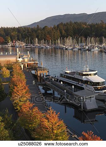 Marina in Vancouver, British Columbia View Large Photo Image Stock Photograph - Marina in Vancouver, British Columbia. Fotosearch