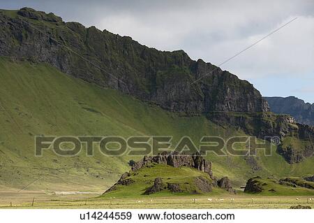 Mountain with green pastureland growing on the steep scree View Large Photo Image Stock Photo - Mountain with green pastureland growing on the steep scree. Fotosearch