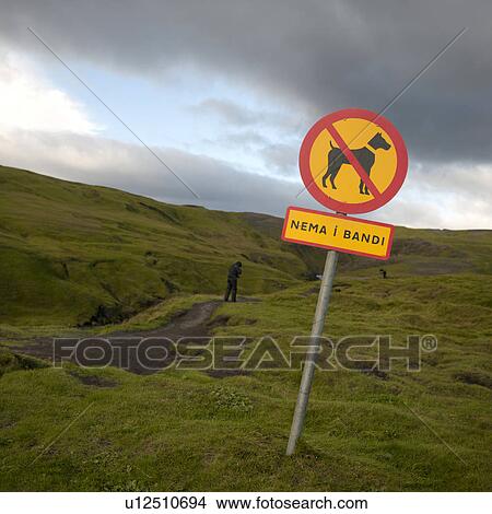 Picture - No Dogs signpost on hilly grass hiking trail. Fotosearch