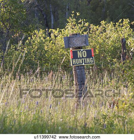 Stock Image - No Hunting sign at Lake of the Woods, Ontario. Fotosearch