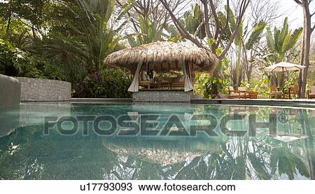 Open sided poolside cabana with palm leaf roof and sofa lounge View Large Photo Image Stock Image - Open sided poolside cabana with palm leaf roof and sofa lounge. Fotosearch