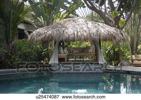 Stock Photo - Open sided poolside cabana with palm leaf roof and sofa lounge. Fotosearch