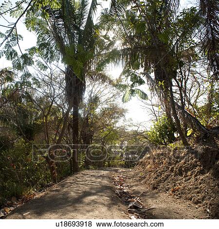 Stock Photo - Pathway through Costa Rica landscape. Fotosearch
