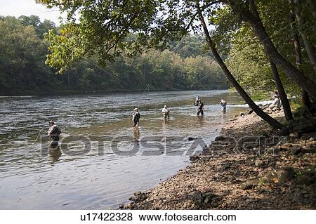 People fly fishing in lake Taneycomo inBranson, Missouri View Large Photo Image Stock Photo - People fly fishing in lake Taneycomo inBranson, Missouri. Fotosearch