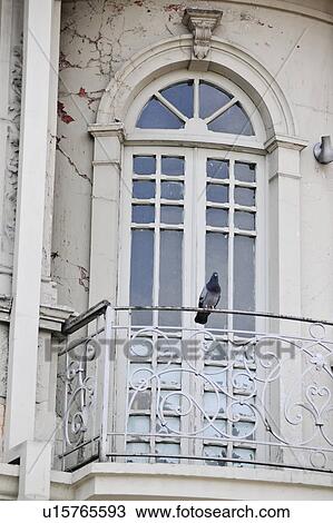 Stock Image - Pigeon perched on the wrought iron railing of the balcony of French doors. Fotosearch