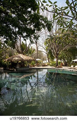Stock Image - Poolside cabana, with tropical jungle reflected in pool. Fotosearch