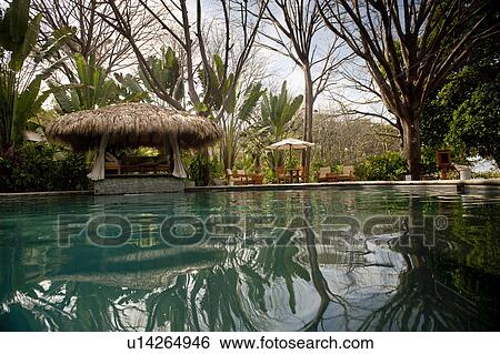 Stock Photograph - Poolside cabana, with tropical jungle reflected in pool. Fotosearch