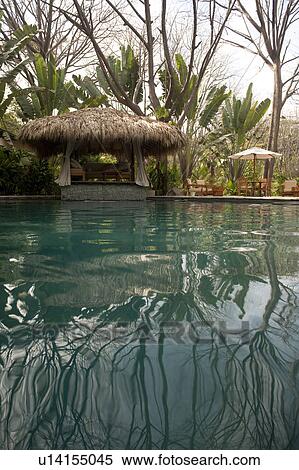 Stock Photography - Poolside cabana, with tropical jungle reflected in pool. Fotosearch