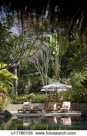 Stock Photography - Poolside lounge chairs under a shade umbrella in a tropical forest. Fotosearch