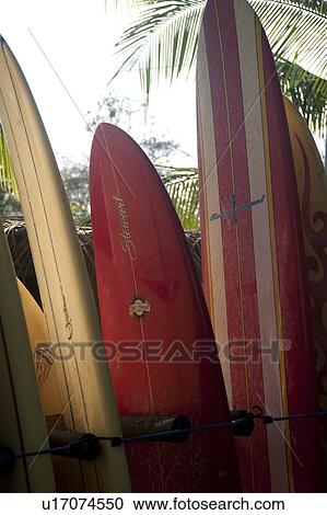 rack of striped multicolourd surfboards being stored at the beach in a palmtree forest View Large Photo Image Stock Image - rack of striped multicolourd surfboards being stored at the beach in a palmtree forest. Fotosearch