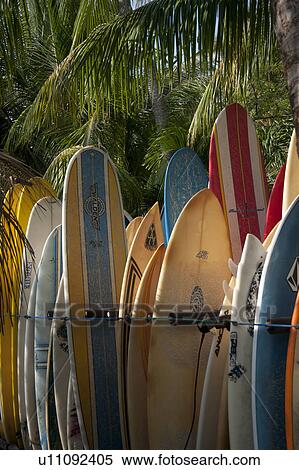 rack of striped multicolourd surfboards being stored at the beach in a palmtree forest View Large Photo Image Stock Photography - rack of striped multicolourd surfboards being stored at the beach in a palmtree forest. Fotosearch