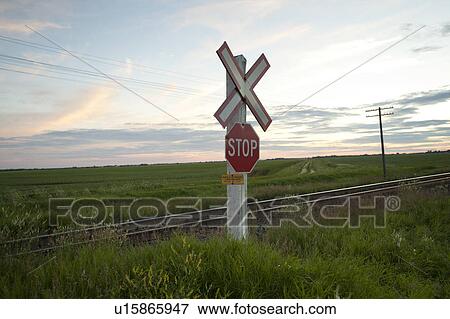 Railway sign and stop sign along roadway at Lake of the Woods, Ontario View Large Photo Image Stock Photo - Railway sign and stop sign along roadway at Lake of the Woods, Ontario. Fotosearch