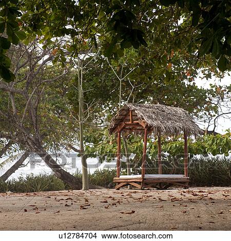 Relaxation bed on the beach in Costa Rica View Large Photo Image Picture - Relaxation bed on the beach in Costa Rica. Fotosearch