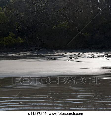 Stock Photography - Ripples in the sand along Costa Rica shoreline. Fotosearch