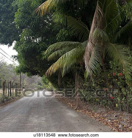 Stock Photo - Roadway in Costa Rica. Fotosearch