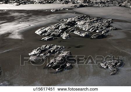 Rocky outcrops on the beach Costa Rica View Large Photo Image Stock Image - Rocky outcrops on the beach Costa Rica. Fotosearch