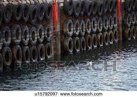 Stock Photo - Rubber tire lined wharf with fluourescent access ladders. Fotosearch