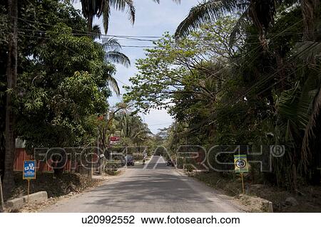 Stock Image - Rural road through the jungle of Costa Rica, with trees overhanging and street signs, vanishing into the distance. Fotosearch
