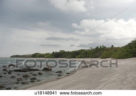 Stock Image - Sandy beach with encroaching trees, with rocks in the surf, on an overcast cloudy day. Fotosearch