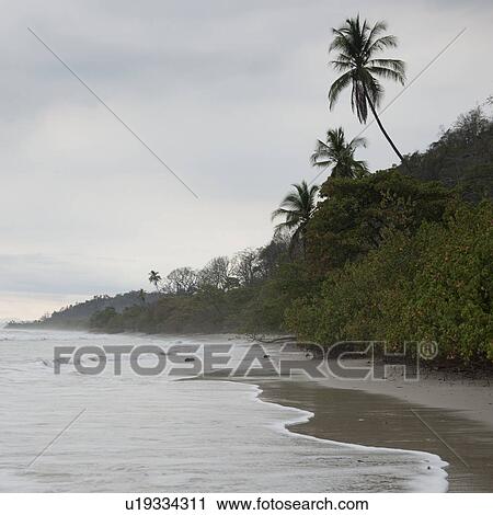 Seashore in Costa Rica View Large Photo Image Stock Image - Seashore in Costa Rica. Fotosearch