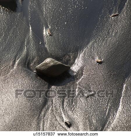 Small pebbles and stones along Costa Rica shoreline View Large Photo Image Stock Photo - Small pebbles and stones along Costa Rica shoreline. Fotosearch