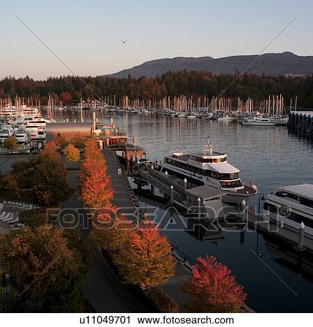 Stanley Park Marina in Vancouver, British Columbia, Canada View Large Photo Image Stock Image - Stanley Park Marina in Vancouver, British Columbia, Canada. Fotosearch