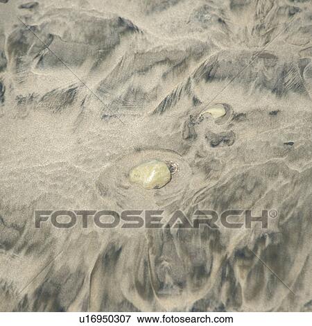 Stones along the seashore in Costa Rica View Large Photo Image Stock Photo - Stones along the seashore in Costa Rica. Fotosearch