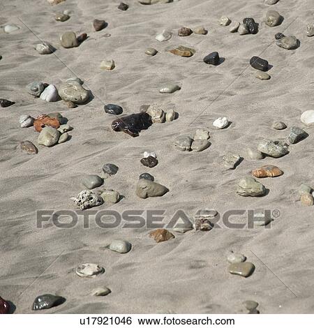 Stock Photograph - Stones along the seashore in Costa Rica. Fotosearch