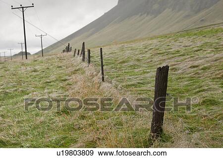 Telephone poles and barbed wire fence posts disappearing over the hill in a pasture View Large Photo Image Stock Photo - Telephone poles and barbed wire fence posts disappearing over the hill in a pasture. Fotosearch