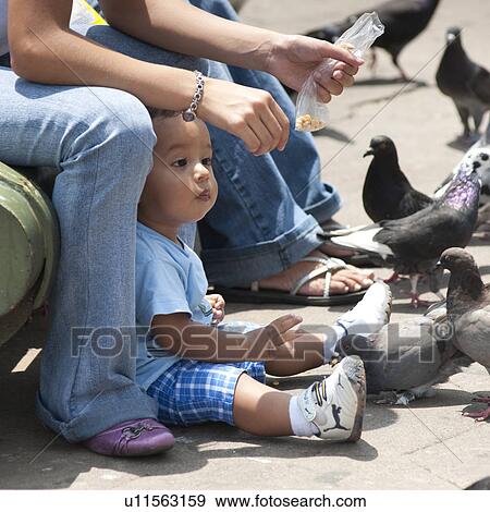 Stock Photo - Toddler sitting amongst pigeons in San Jose. Fotosearch