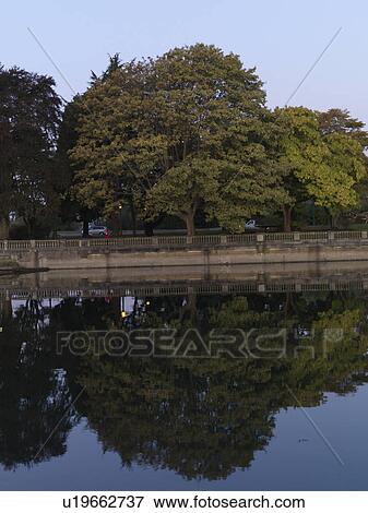 Stock Photo - Trees along the sea wall in Vancouver, British Columbia, Canada. Fotosearch