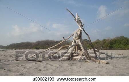 Stock Image - Triangle bonfireteepee made of driftwood on the sand beach with the forest in the background and clouds in the blue sky. Fotosearch