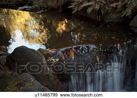 Stock Photo - Waterfall in Stanley Park in Vancouver, British Columbia, Canada. Fotosearch