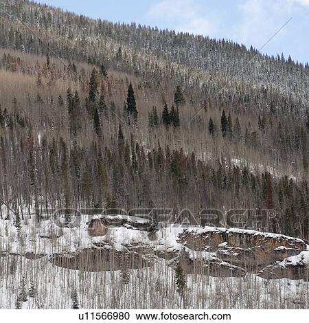Winter landscape in Vail, Colorado 2010 View Large Photo Image Stock Image - Winter landscape in Vail, Colorado 2010. Fotosearch