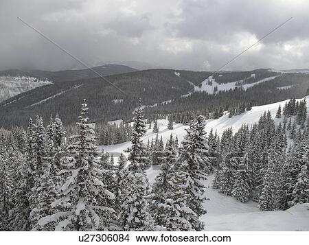 Picture - Winter landscape in Vail, Colorado. Fotosearch