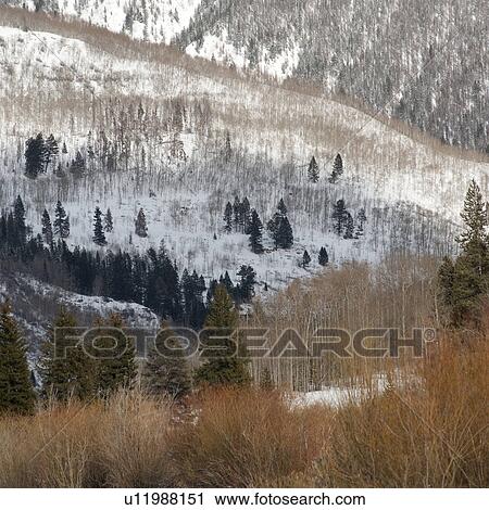 Stock Image - Winter landscape in Vail, Colorado. Fotosearch