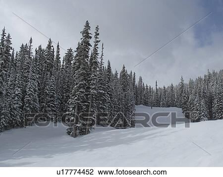Stock Image - Winter landscape in Vail, Colorado. Fotosearch