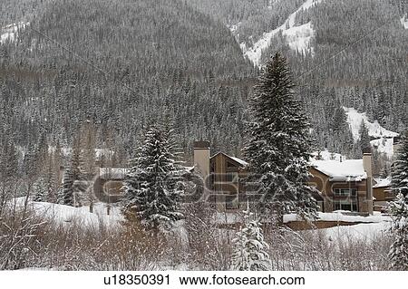 Stock Image - Winter landscape in Vail, Colorado. Fotosearch