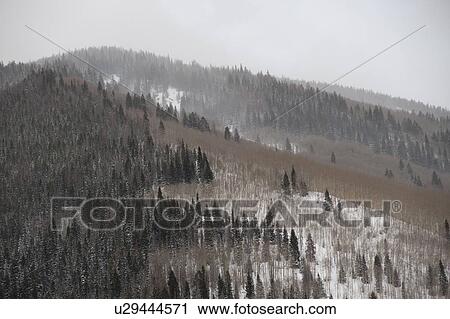Stock Image - Winter landscape in Vail, Colorado. Fotosearch