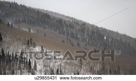 Winter landscape in Vail, Colorado View Large Photo Image Stock Image - Winter landscape in Vail, Colorado. Fotosearch