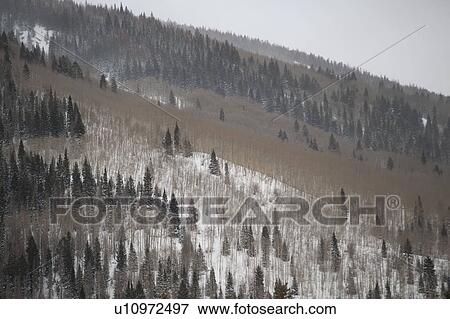 Winter landscape in Vail, Colorado View Large Photo Image Stock Photo - Winter landscape in Vail, Colorado. Fotosearch